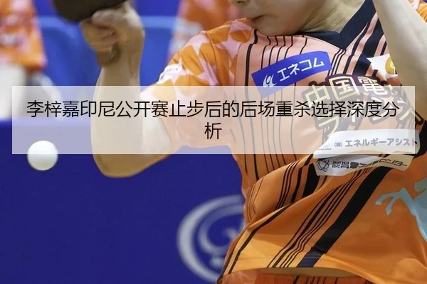 李梓嘉印尼公开赛止步后的后场重杀选择深度分析